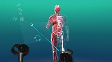 oculus rift virtual reality human anatomy program