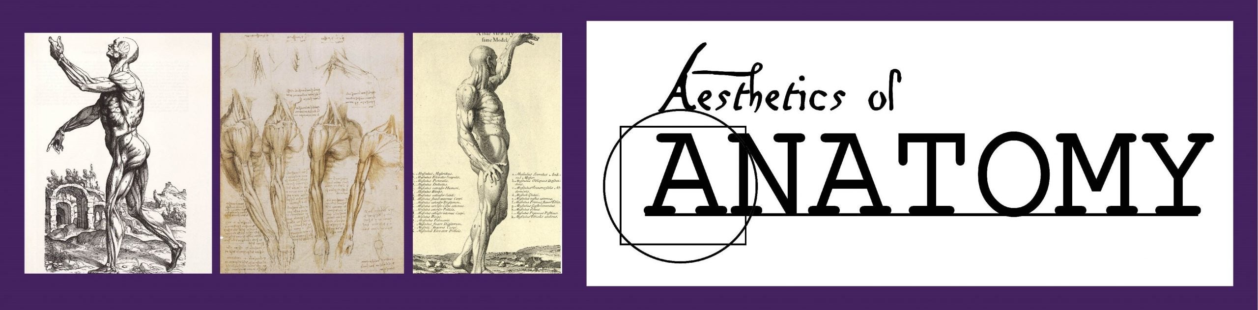Aesthetics of Anatomy logo with 3 anatomy drawings to the left.