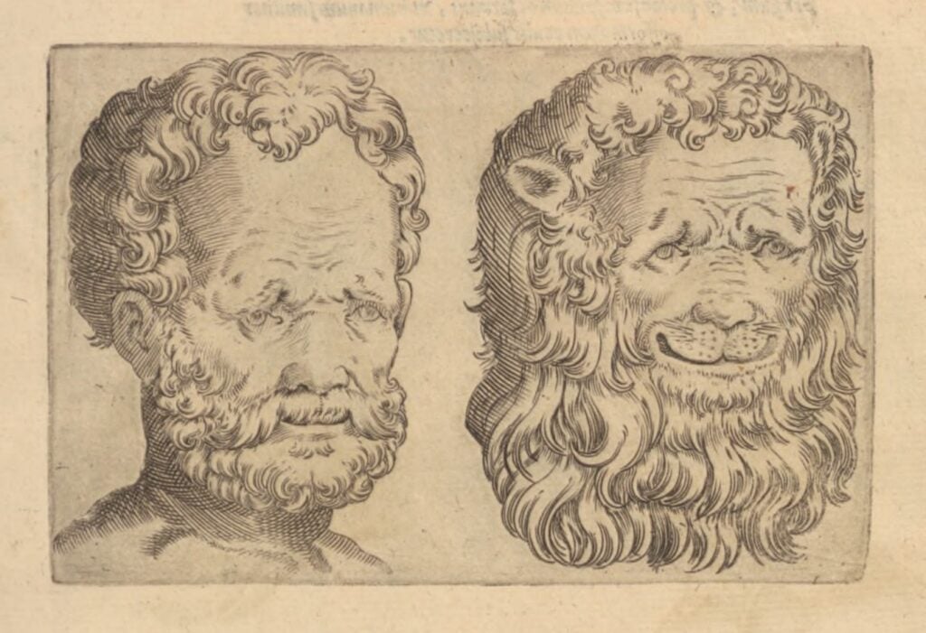 An illustration showing two side-by-side images; the left image depicts a man with a beard, and the right image depicts a detailed drawing of a lion's head with a mane.